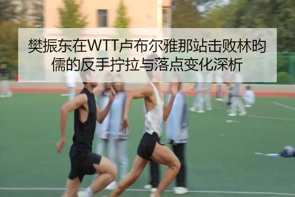 樊振东在WTT卢布尔雅那站击败林昀儒的反手拧拉与落点变化深析