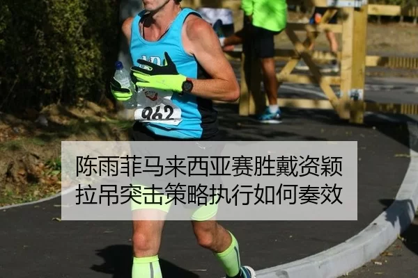 chen-yu-fei-ma-lai-xi-ya-sai-sheng-dai-zi-ying-la-diao-tu-ji-ce-lve-zhi-xing-ru-he-zou-xiao-3-786.jpg