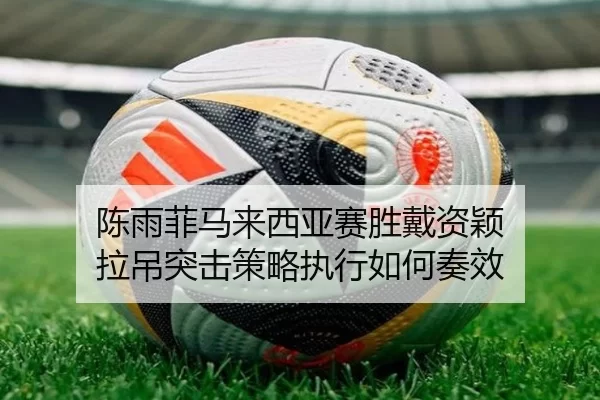 陈雨菲马来西亚赛胜戴资颖 拉吊突击策略执行如何奏效